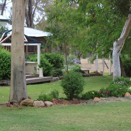 Rosebank Homestead And Farmstay Dalby Exterior photo
